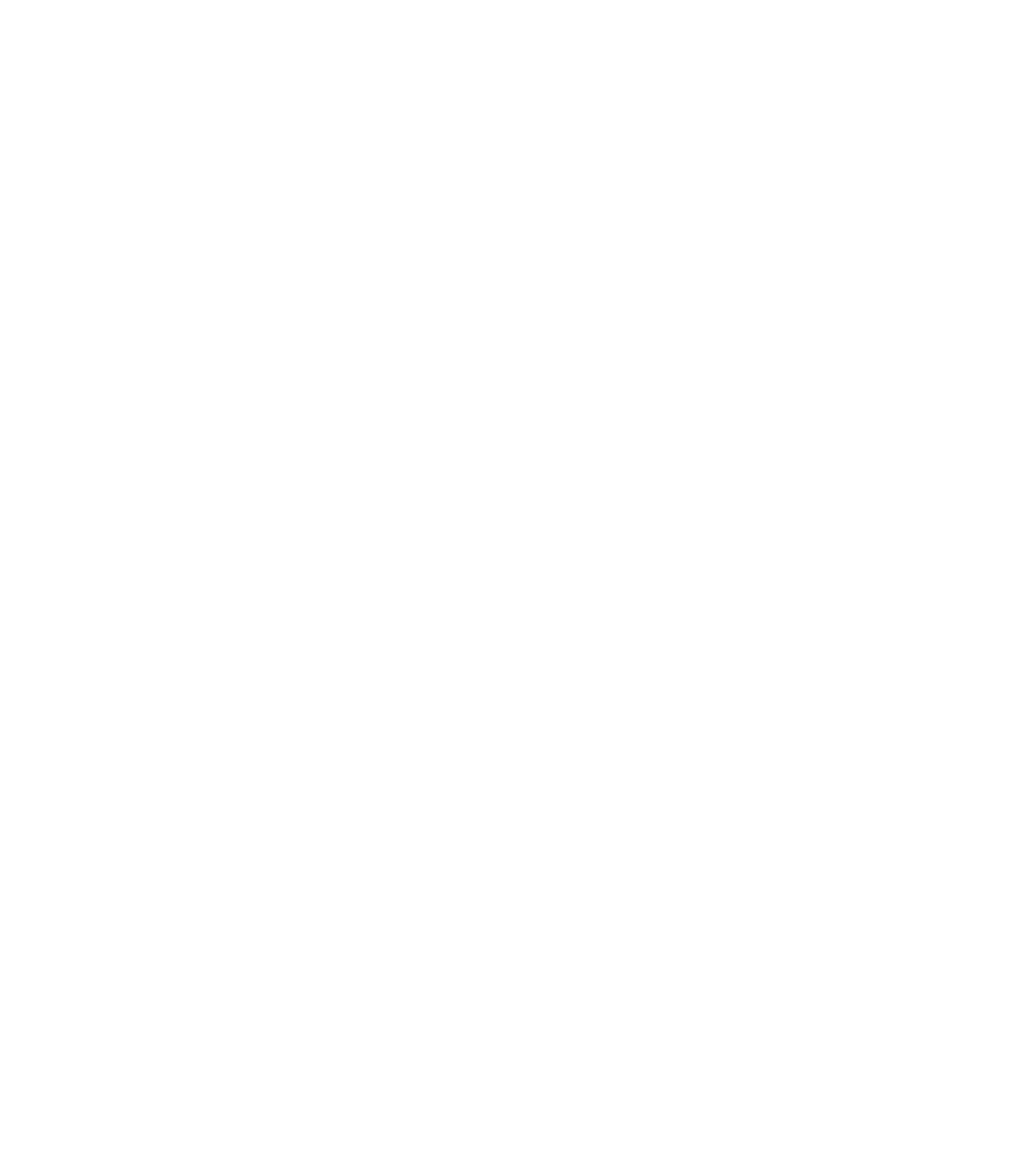 DS Car Centro Automotivo